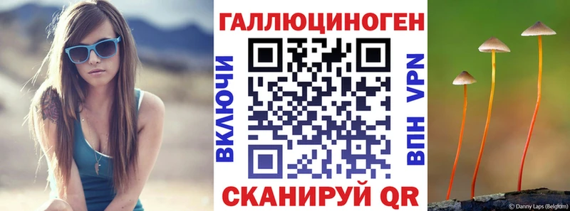 купить   Всеволожск  Галлюциногенные грибы Psilocybine cubensis 